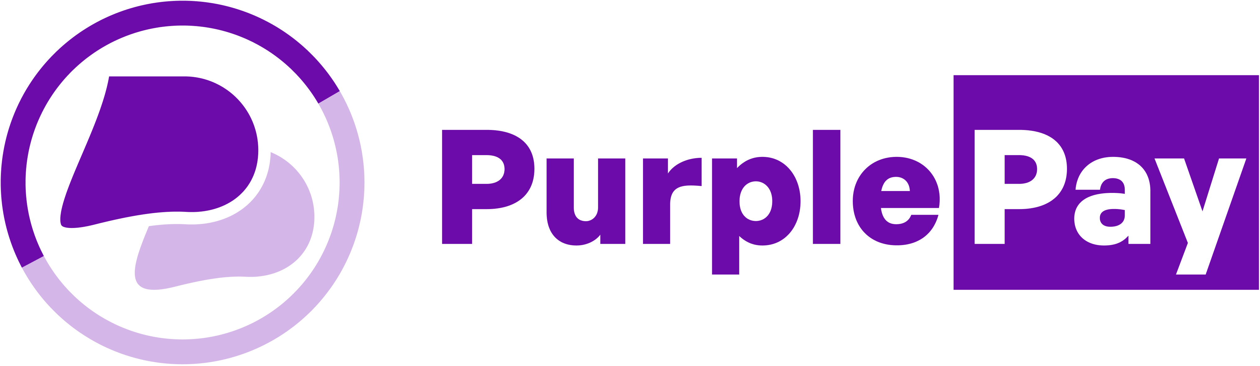 PurplePay logo