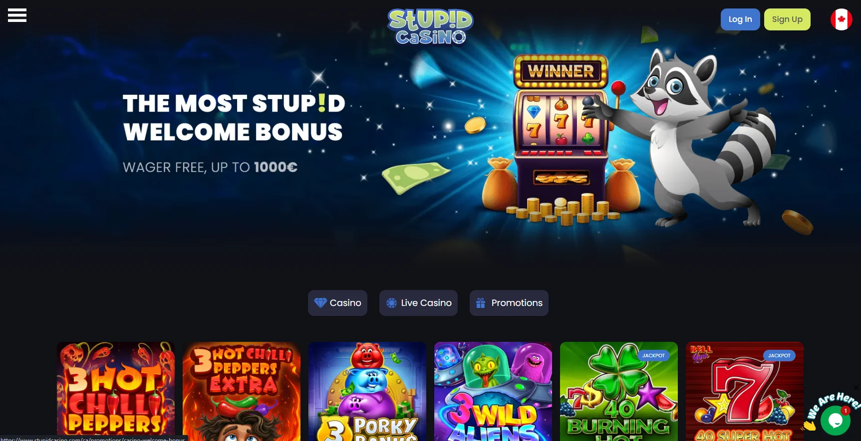 Stupid Casino