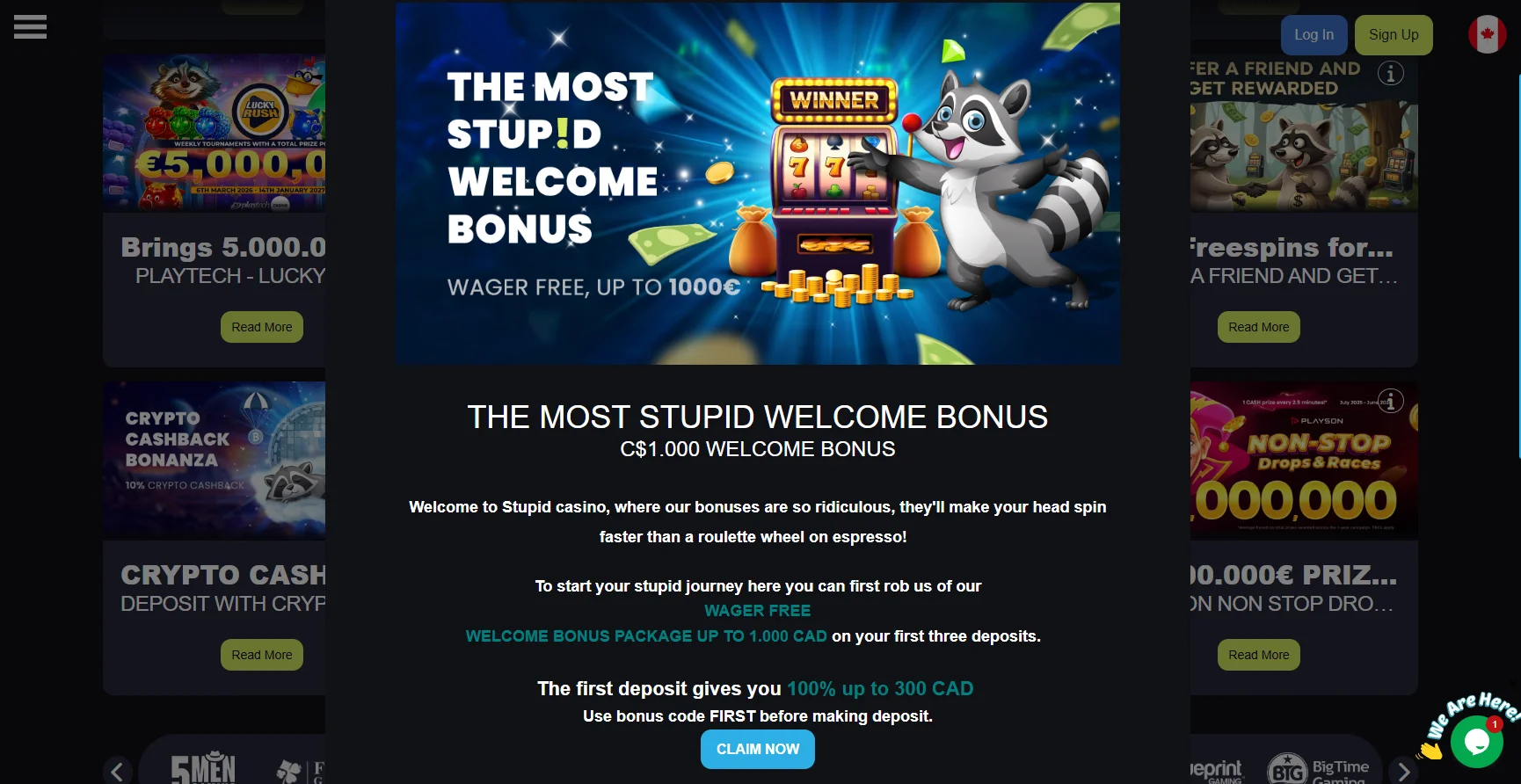 Stupid Casino Welcome Bonus